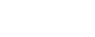 Swisslion